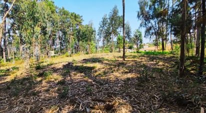 Land in Campos e Vila Meã of 1,220 m²