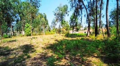Land in Campos e Vila Meã of 1,220 m²