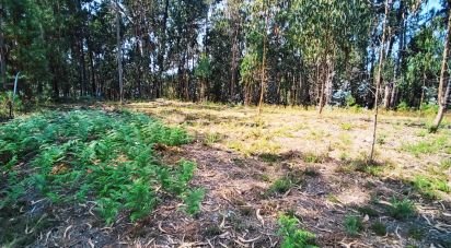 Land in Campos e Vila Meã of 1,220 m²