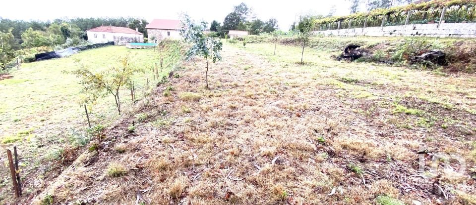 Casa de Campo T5 em Mentrestido de 234 m²