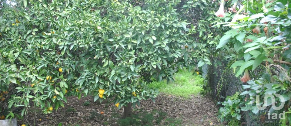 House T2 in Luz de Tavira e Santo Estêvão of 52 m²