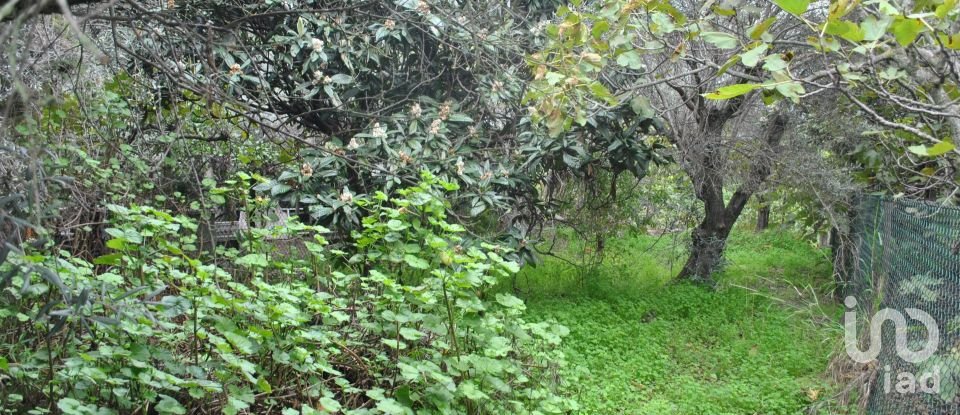 House T2 in Luz de Tavira e Santo Estêvão of 52 m²