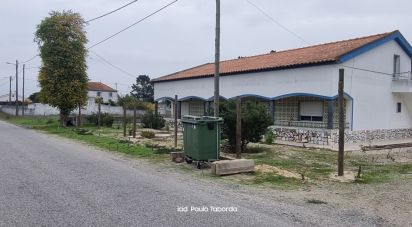 Ferme T4 à Torrão de 231 m²
