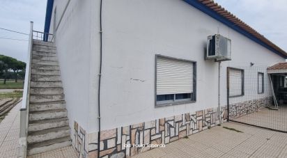 Ferme T4 à Torrão de 231 m²