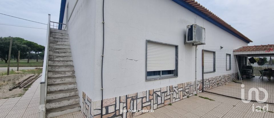 Ferme T4 à Torrão de 231 m²