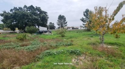 Ferme T4 à Torrão de 231 m²