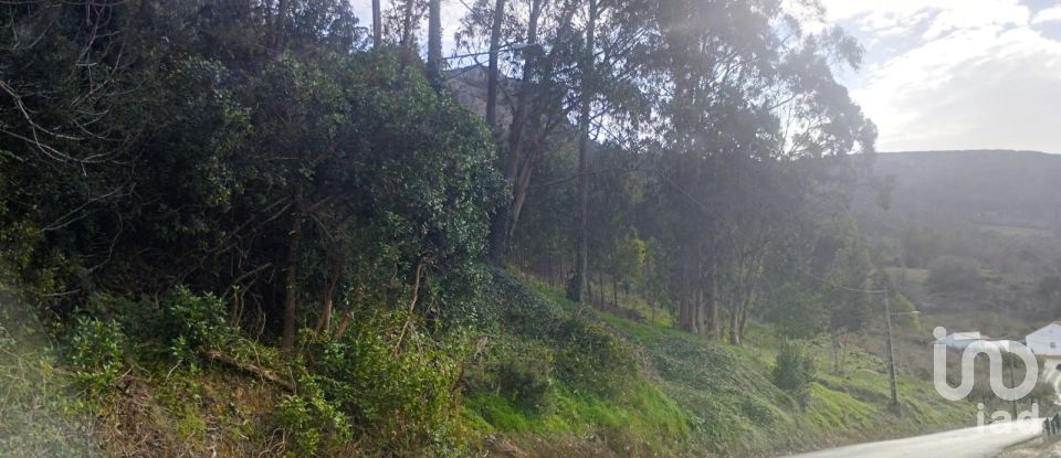 Building plot in Lamas e Cercal of 950 m²