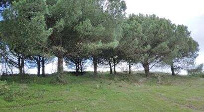 Terrain à bâtir à Carvoeira e Carmões de 3 960 m²