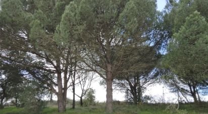 Terrain à bâtir à Carvoeira e Carmões de 3 960 m²