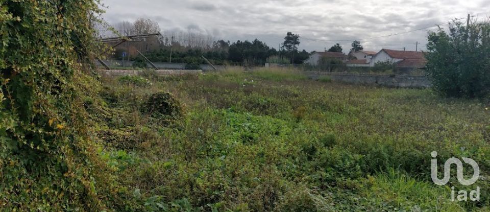 Country home T6 in Mira of 290 m²