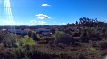 Terrain à São João da Ribeira e Ribeira de São João de 29 080 m²