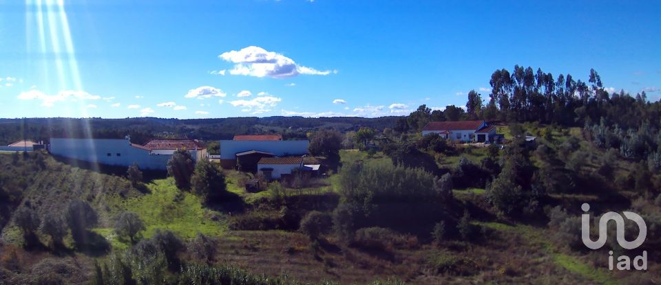 Terrain à São João da Ribeira e Ribeira de São João de 29 080 m²