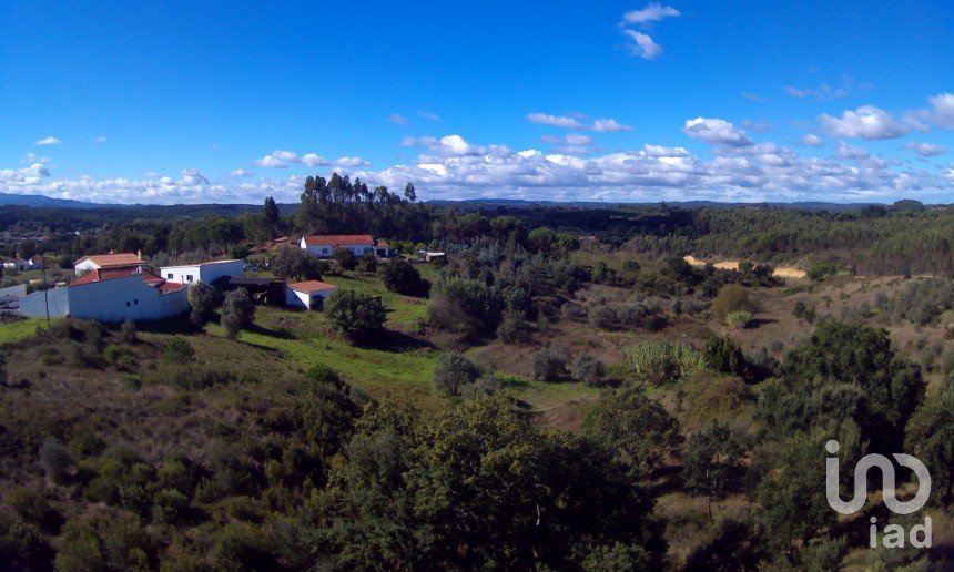 Terrain à São João da Ribeira e Ribeira de São João de 29 080 m²