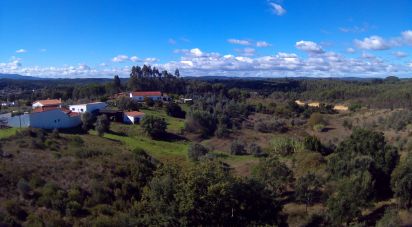 Terrain à São João da Ribeira e Ribeira de São João de 29 080 m²