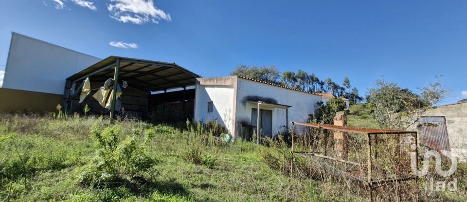 Terrain à São João da Ribeira e Ribeira de São João de 29 080 m²