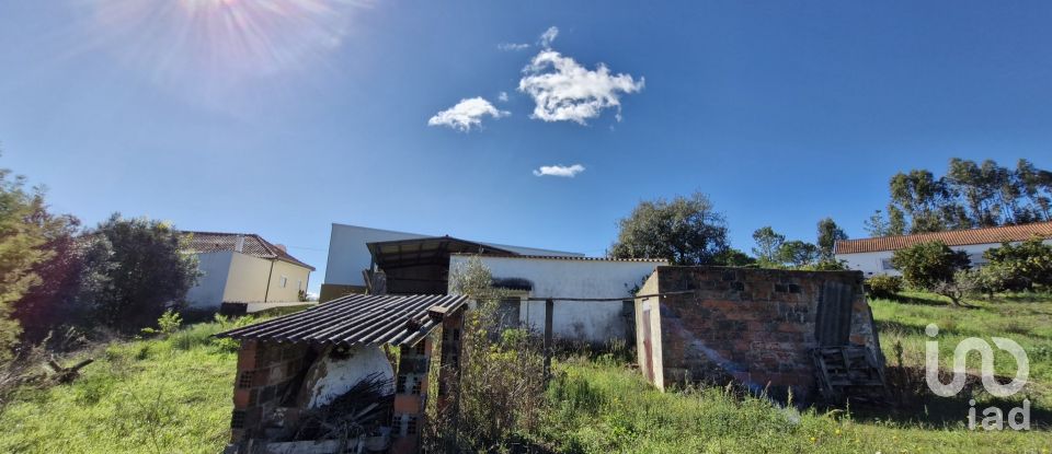 Terrain à São João da Ribeira e Ribeira de São João de 29 080 m²