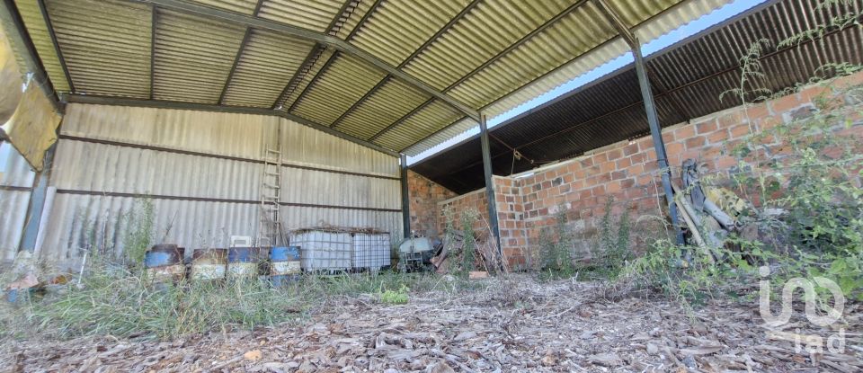 Terrain à São João da Ribeira e Ribeira de São João de 29 080 m²