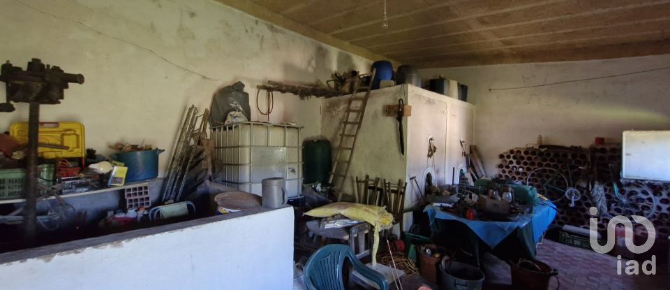 Terrain à São João da Ribeira e Ribeira de São João de 29 080 m²