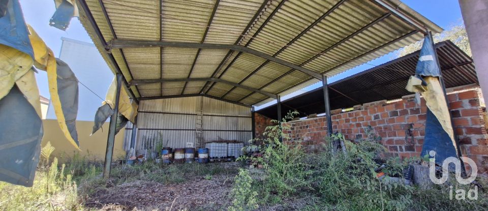 Terrain à São João da Ribeira e Ribeira de São João de 29 080 m²