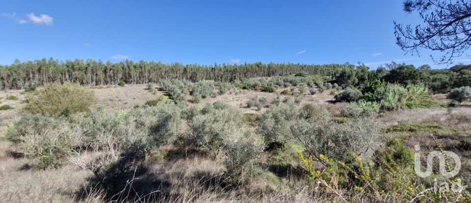 Terrain à São João da Ribeira e Ribeira de São João de 29 080 m²
