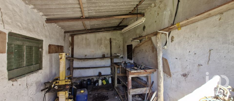 Terrain à São João da Ribeira e Ribeira de São João de 29 080 m²