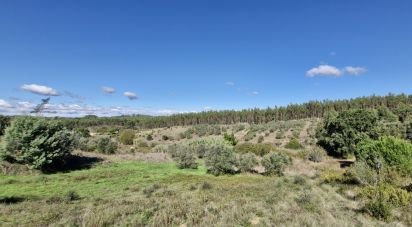 Terrain à São João da Ribeira e Ribeira de São João de 29 080 m²