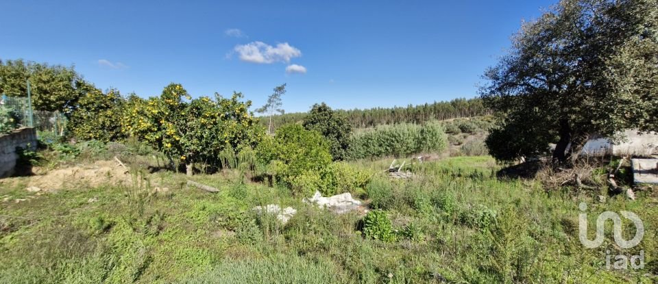 Terrain à São João da Ribeira e Ribeira de São João de 29 080 m²