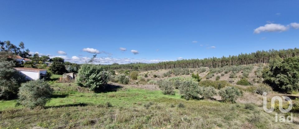 Terrain à São João da Ribeira e Ribeira de São João de 29 080 m²