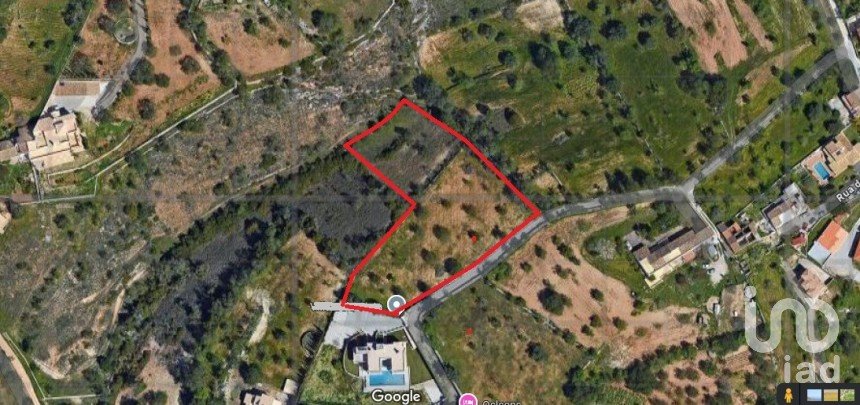 Terreno em Boliqueime de 5 000 m²