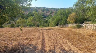Land in Boliqueime of 5,000 m²