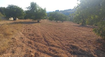 Land in Boliqueime of 5,000 m²