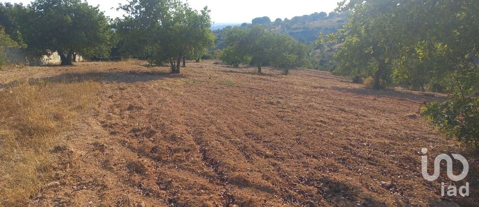 Terreno em Boliqueime de 5 000 m²