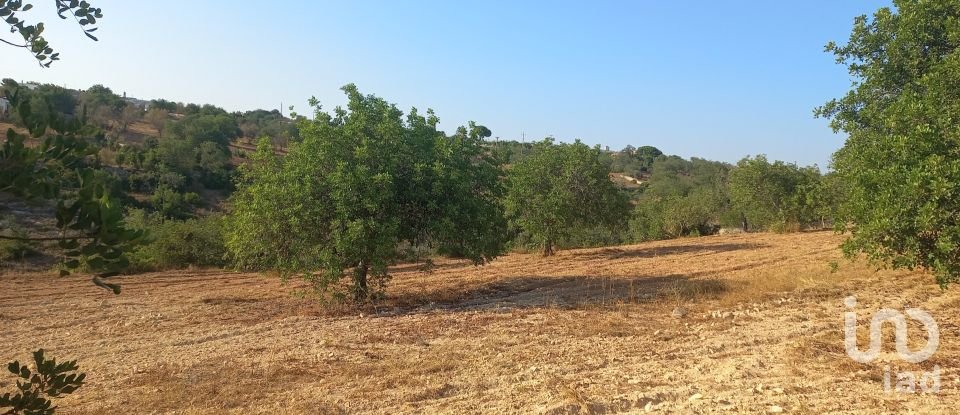 Terreno em Boliqueime de 5 000 m²