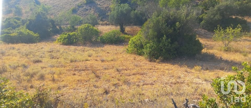 Terreno em Boliqueime de 5 000 m²