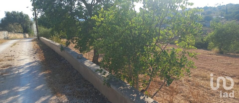 Terreno em Boliqueime de 5 000 m²