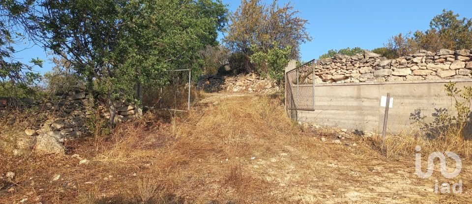 Terreno em Boliqueime de 5 000 m²