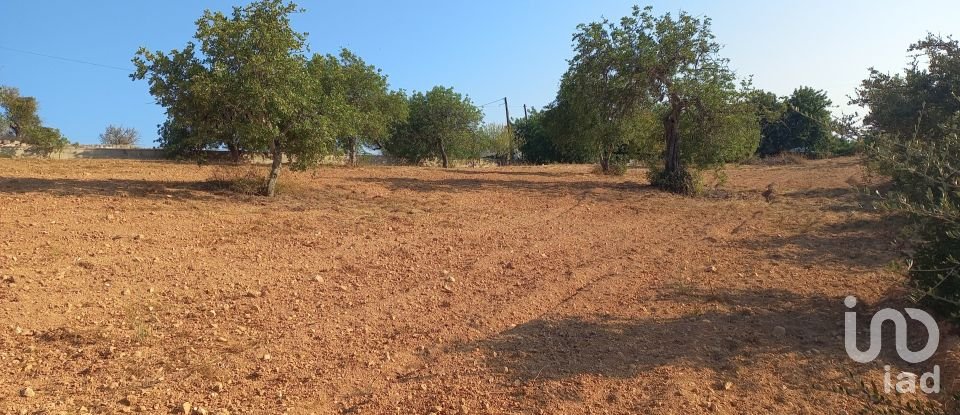 Terreno em Boliqueime de 5 000 m²