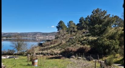 Terrain à Penso e Freixinho de 13 680 m²