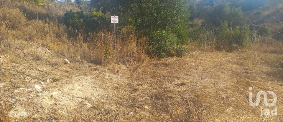 Terreno em Boliqueime de 4 521 m²