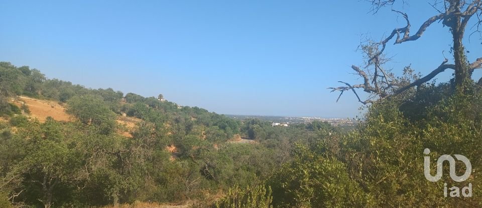 Terreno em Boliqueime de 4 521 m²