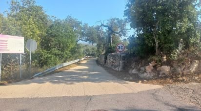 Land in Boliqueime of 4,521 m²