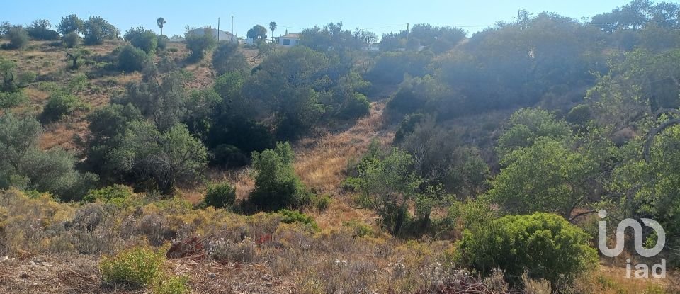 Terreno em Boliqueime de 4 521 m²