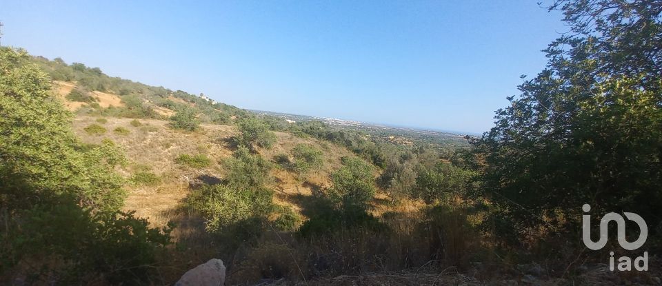 Terreno em Boliqueime de 4 521 m²