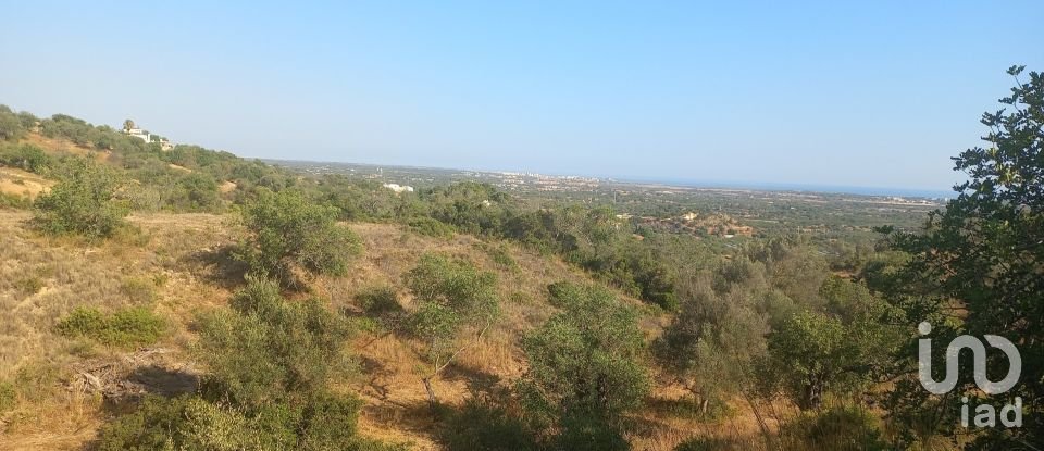 Terreno em Boliqueime de 4 521 m²