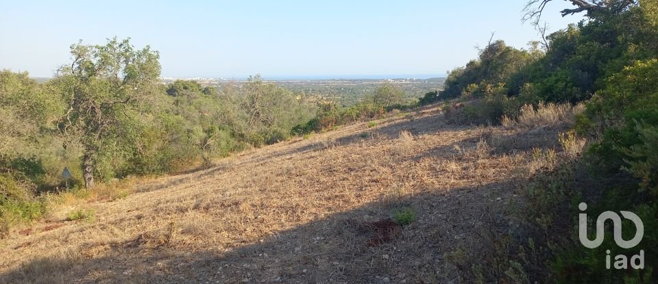 Terreno em Boliqueime de 4 521 m²