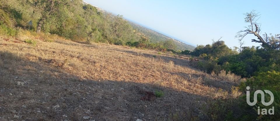 Terreno em Boliqueime de 4 521 m²