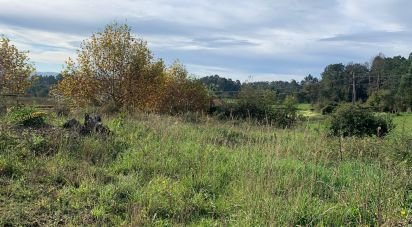 Land in Mujães of 664 m²