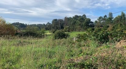 Land in Mujães of 664 m²