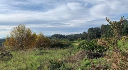 Land in Mujães of 904 m²