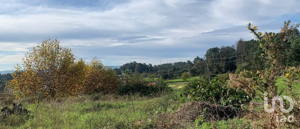 Terreno em Mujães de 904 m²